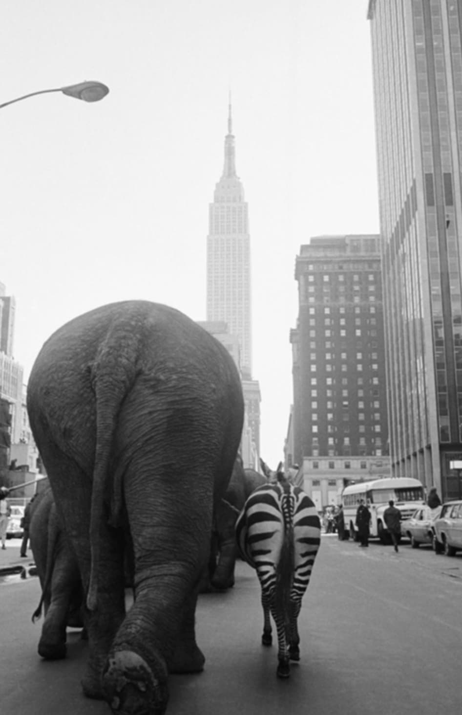 “1968 The Circus is in Town. New York City 33rd Street. Image Bettman/Corbi.”